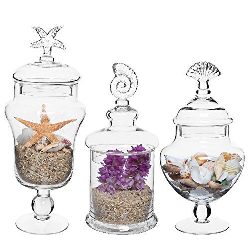 MyGift Set of 3 Seashell Handle Clear Glass Apothecary Jars/Food Storage