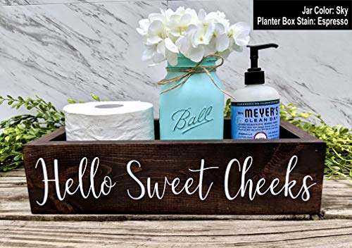 Bathroom Box Bin With Hello Sweet Cheeks. Bathroom Humor Toilet Tray