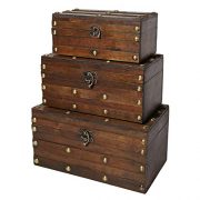 Soul & Lane Monahan Wooden Trunk Chests (Set of 3)