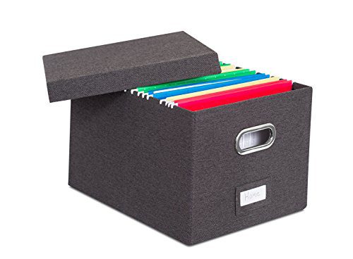 Internet's Best Collapsible File Storage Organizer with Lid